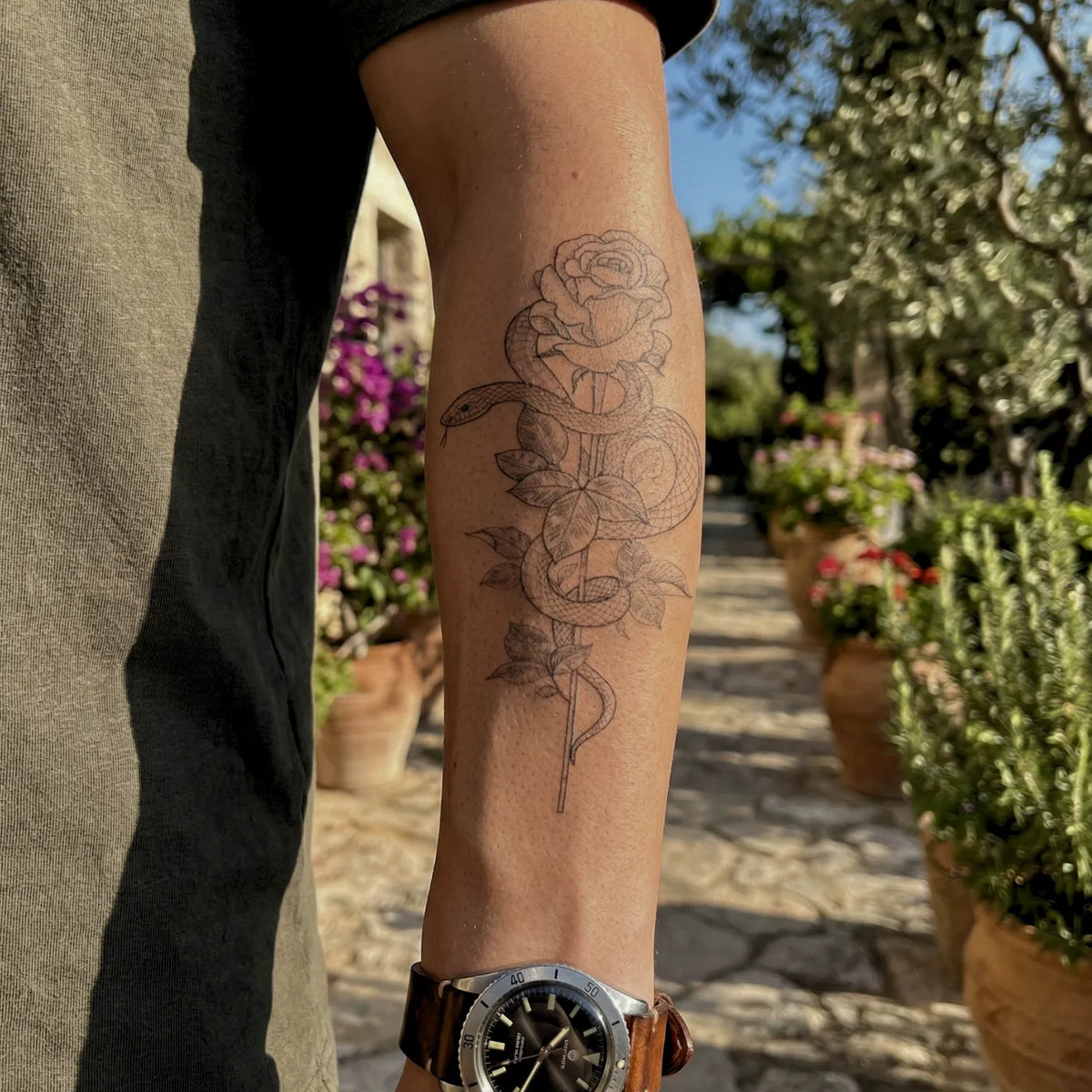 Snake & Rose